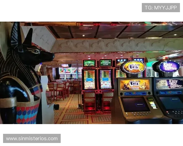 全面解析老虎机赔率：影响游戏公平性和盈利能力的核心指标